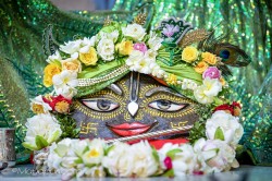 Daily Darshan