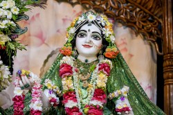 Daily Darshan