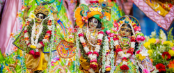Daily Darshan
