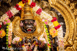 Daily Darshan