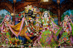 Daily Darshan