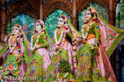 Daily Darshan
