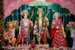 Daily Darshan