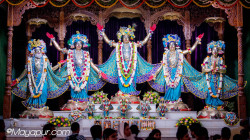 Daily Darshan