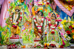 Daily Darshan