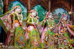 Daily Darshan