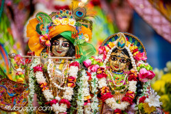 Daily Darshan