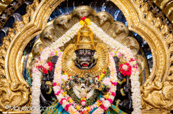 Daily Darshan