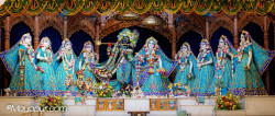 Daily Darshan