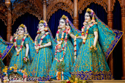 Daily Darshan