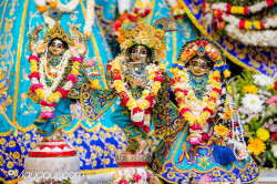 Daily Darshan