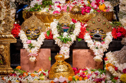 Daily Darshan