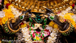 Daily Darshan