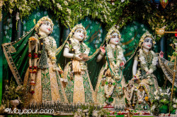 Daily Darshan