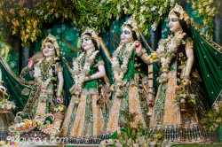 Daily Darshan
