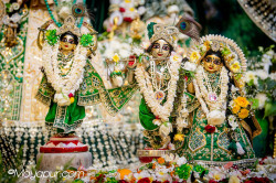 Daily Darshan