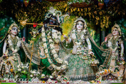 Daily Darshan