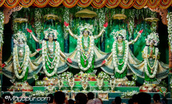 Daily Darshan