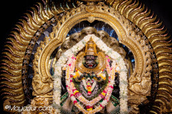 Daily Darshan