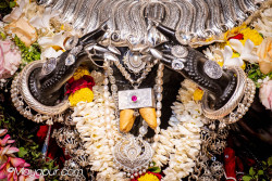 Daily Darshan