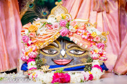 Daily Darshan