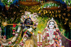 Daily Darshan