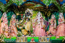 Daily Darshan