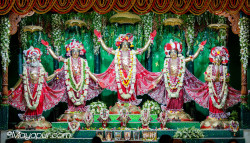 Daily Darshan