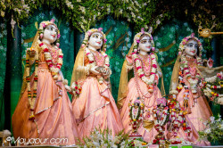 Daily Darshan