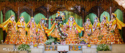 Daily Darshan