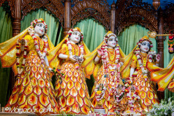 Daily Darshan