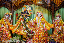 Daily Darshan