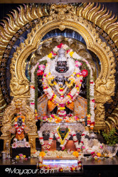 Daily Darshan