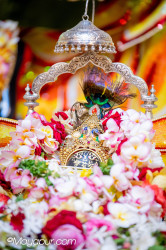 Daily Darshan
