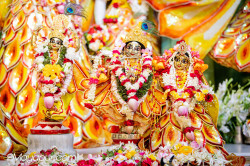 Daily Darshan