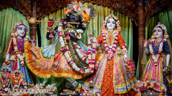 Daily Darshan