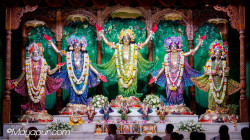 Daily Darshan