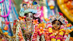 Daily Darshan