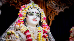 Daily Darshan