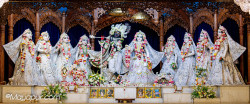 Daily Darshan