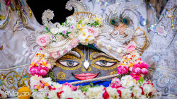 Daily Darshan
