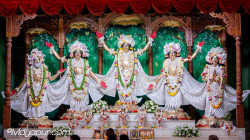 Daily Darshan