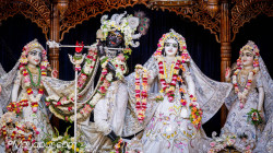 Daily Darshan