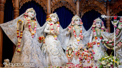 Daily Darshan