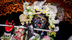 Daily Darshan