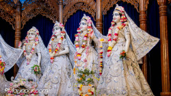 Daily Darshan