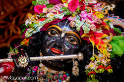 Daily Darshan
