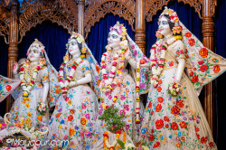 Daily Darshan