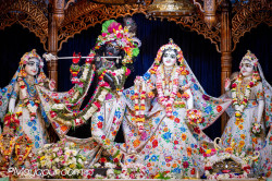 Daily Darshan