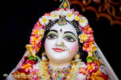 Daily Darshan